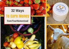 32 Great ways for us to earn money. #pioneersettler