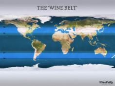 The Wine Belts