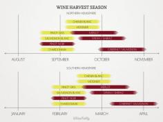 wine-harvest-season