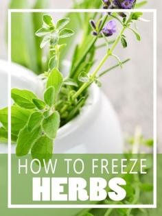 How to Freeze Herbs - Homesteading and Health