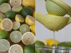 Lemons + Limes | Citrus Juice