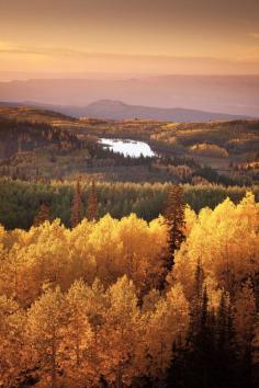 “'Fall Layers', United States, Colorado, Grande Mesa (by WanderingtheWorld (www.ChrisFord.com)) ”