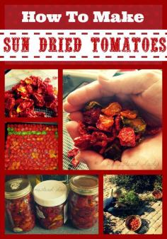 How to Make Sun Dried Tomatoes www.homesteadlady...