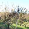 Fruits Farm Address

731 Canning Road Carmel
6076 Western Australia