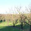 Fruits Farm Address

731 Canning Road Carmel
6076 Western Australia