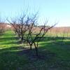 Fruits Farm Address

731 Canning Road Carmel
6076 Western Australia