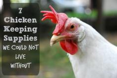 7 Chicken Keeping Supplies We Couldn't Live Without | Backyard Chicken Project
