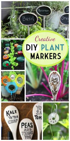 
                        
                            Creative DIY Plant Marker made from wooden spoons, fly swatters, stones, metal washers, and dollar store supplies.
                        
                    