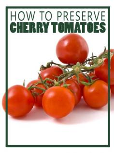 How to Preserve Cherry Tomatoes - Homesteading and Health