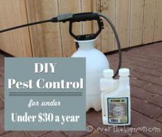 How to do your own Pest Control for Under $30 a Year!