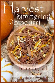 STONEGABLE HARVEST POTPOURRI