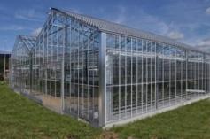 Greenhouse Combines Crops With Solar Power : TreeHugger
