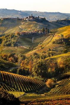 Tuscany, Italy. @Virginia Irby this summers adventure