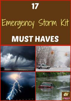 
                        
                            This past winter our electricity was out for a few days during an ice storm and we were COMPLETELY unprepared!  So, I want to share with you 17 Emergency Storm Kit MUST HAVES, so you will be prepared for any type of storm.
                        
                    