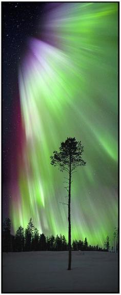 
                        
                            Aurora Borealis
                        
                    