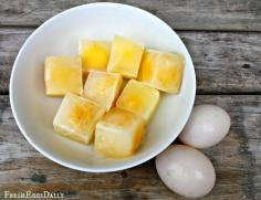 
                    
                        Tips and ideas on how to freeze eggs. | pioneersettler.co...
                    
                
