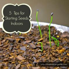 
                    
                        Tips for starting seeds indoors.
                    
                
