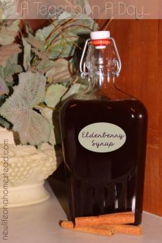 
                    
                        Immune Boosting Elderberry Syrup
                    
                