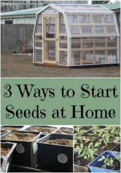
                    
                        Create better variety and do more yourself with these 3 ways to start seeds at home.
                    
                