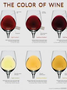 
                    
                        The Color of Wine
                    
                