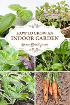 
                    
                        How to Grow an Indoor Garden | Grow a Good Life
                    
                