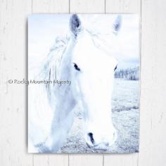 
                    
                        White Spirit Horse Printable Art Print Instant Download Mustang Horse Rescue by RockyMountainMajesty on Etsy
                    
                
