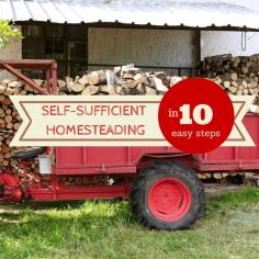 
                    
                        self-sufficient homesteading
                    
                