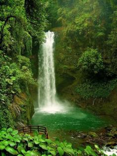 
                    
                        La Paz Waterfall, hidden in the rainforest of Costa Rica
                    
                