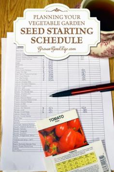
                    
                        When is the best time to start seeds? Start some seeds too soon and you will end up with lanky plants under the lights. Too late and the plants will be too weak when transplanted to the garden or may not mature in time to produce before your frost.   Develop a seed starting schedule so you know the optimum time to start your seeds. A seed-starting schedule provides a guideline of when to sow seeds and when to transplant seedlings the vegetable garden.
                    
                
