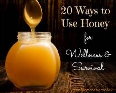 
                    
                        20 Ways to Use Honey for Wellness & Survival (including some you may not have though of!) - Backdoor Survival
                    
                