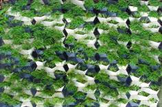 GREEN WALLS & GREEN ROOF DESIGNS
#sustainablehousedesign #sustainablehomedesign #brisbane #goldcoast