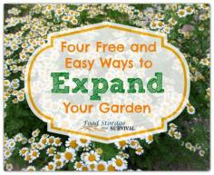 
                    
                        Try these four FREE and EASY ways to get more plants in your garden!  Food Storage and Survival
                    
                