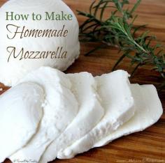 
                    
                        Ever wanted to make homemade cheese but don't want to wait for months for it to age? Learn how to make homemade mozzarella in minutes with this easy step by step tutorial.
                    
                