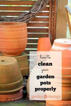 
                    
                        How to properly clean your garden pots and why it's important!
                    
                