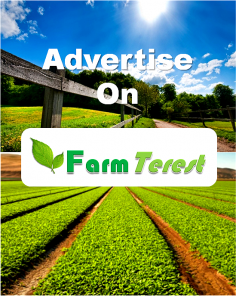 Advertise on FarmTerest!

We have joined Btab Ads network to bring you more saving. 

For just $5 a day, Btab Ads will promote your ad across their network + a Feature Pin on FarmTerest.

To know more visit "Advertise" page

Email: info@farmterest.com 
or Send us a Private Message (Please login to send private message)