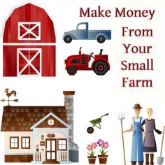 
                    
                        Do you love the idea of having a small farm but wonder how you can earn a living from it? Here are 24  ways to do just that. All of these are possible with a little planning.
                    
                