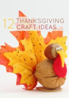 
                    
                        Craft ideas for Thanksgiving!
                    
                