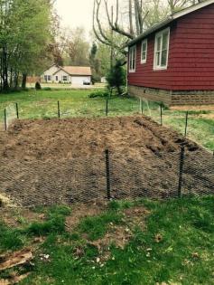 
                    
                        How to Start a Vegetable Garden
                    
                