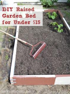 
                    
                        Wondering how to plant a garden without spending a fortune? Here's a picture tutorial showing how to build a raised garden bed for less than $15! :: DontWastetheCrumb...
                    
                