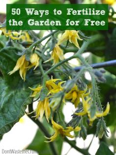 
                    
                        50 Ways to Fertilize the Garden For Free - from leftover food to common plants to animal parts, a great list of free & effective fertilizers for the garden. :: DontWastetheCrumb...
                    
                