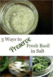 
                    
                        Want the fresh taste of basil for months on end? Use 3 ways to preserve basil in salt in minutes. I can't believe how easy this is!
                    
                