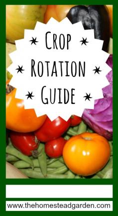 
                    
                        Crop Rotation Guide
                    
                