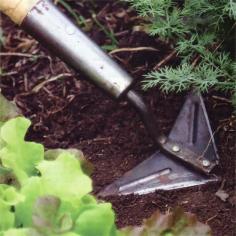 
                    
                        Use these seven garden weed control techniques to keep weeds out of your way. Originally published as
                    
                