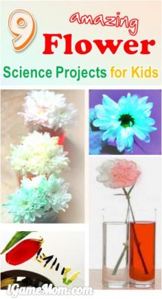 
                    
                        9 amazing flower science projects for kids, colors, water absorption, lights, … fun spring and summer science experiments at home backyard or kitchen, also great as school class project or science fair project
                    
                