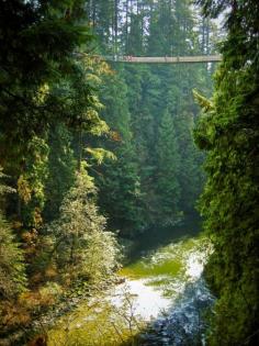 
                    
                        Capilano Suspension Bridge, Vancouver, Canada
                    
                