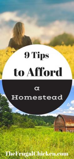 
                    
                        9 Tips to Afford a Homestead. From TheFrugalChicken.com
                    
                