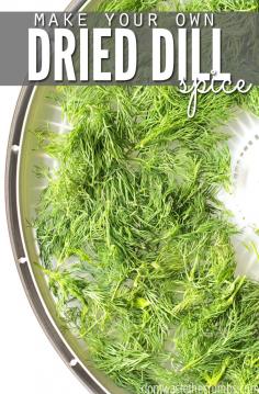 
                    
                        Talk about saving money! This tutorial for dehydrating dill is so easy, and you will literally save 50% off the shelf-price of dried dill. One $2 bunch makes twice as much as the small containers, and you don't need a dehydrator! Tutorial includes how to dehydrate dill using an oven, microwave a toaster oven and the old fashioned way too! :: DontWastetheCrumb...
                    
                