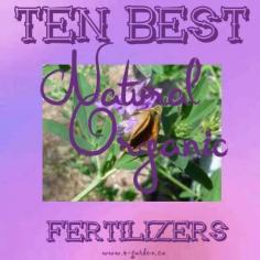 
                    
                        10 Best High Nitrogen Natural Fertilizers - choose yours here www.o-garden.ca/...
                    
                
