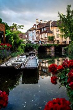 
                    
                        Colmar, Alsace, France
                    
                