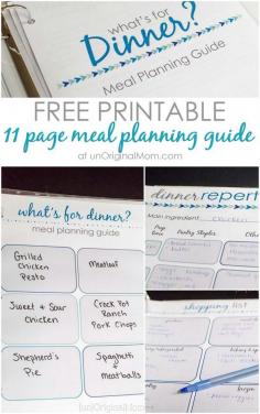 
                    
                        11 page flexible meal planning guide - includes dinner repertoire pages, a shopping list, pantry inventory chart, and more!  What a great way to stay on top of meal planning without having to schedule every day.
                    
                